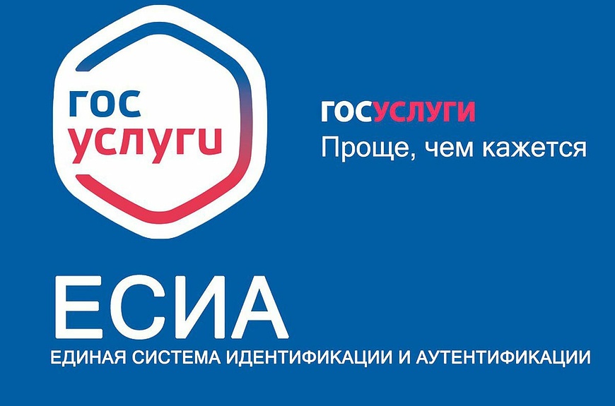 Инструкция по авторизации в «электронном журнале» через ЕСИА.